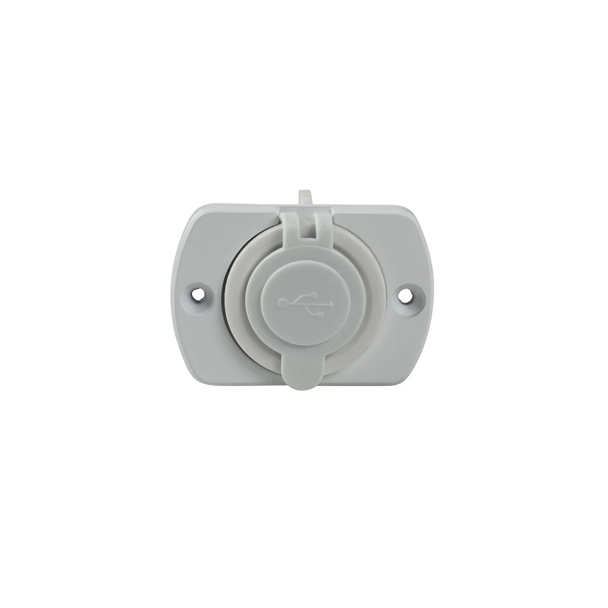 as-schwabe-mixo-12v-einbausteckdose-usb-wei-61464 image 1